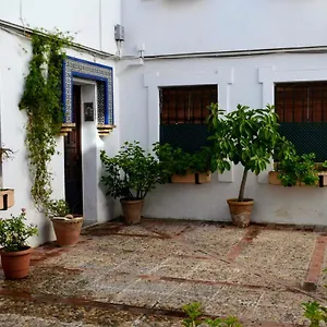 El Patio De La Aljama Cordova